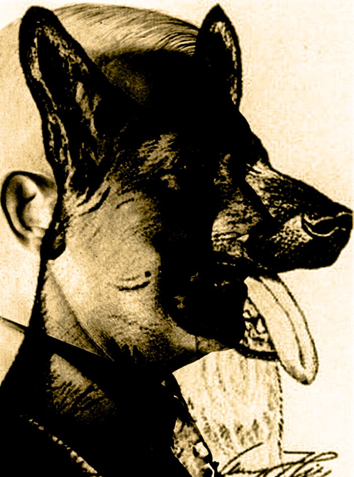 Dog Face