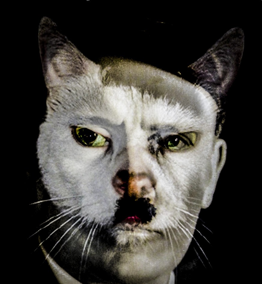 8DA