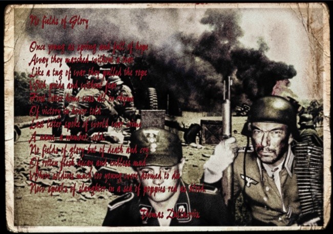 No fields of glory